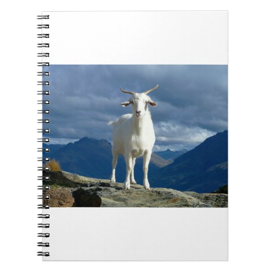 Geiten en geiten (93) notitieboek (Voorkant)