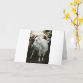 Geiten en geiten kaart (Gele Bloem)