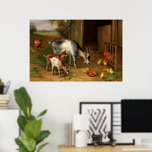 Geiten en kippen bij de Boerderij Poster (Thuiskantoor)