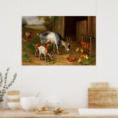 Geiten en kippen bij de Boerderij Poster (Keuken)