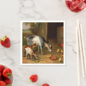 Geiten en kippen bij de Boerderij Servet (Insitu)