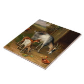 Geiten en kippen bij de Boerderij Tegeltje (Zijkant)