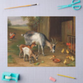 Geiten en kippen bij de Boerderij Tissuepapier (Craft)