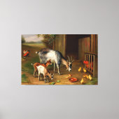 geiten en kippen bij het Boerderij Canvas Afdruk (Voorkant)