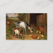 Geiten en kippen bij het Boerderij Visitekaartje (Achterkant)