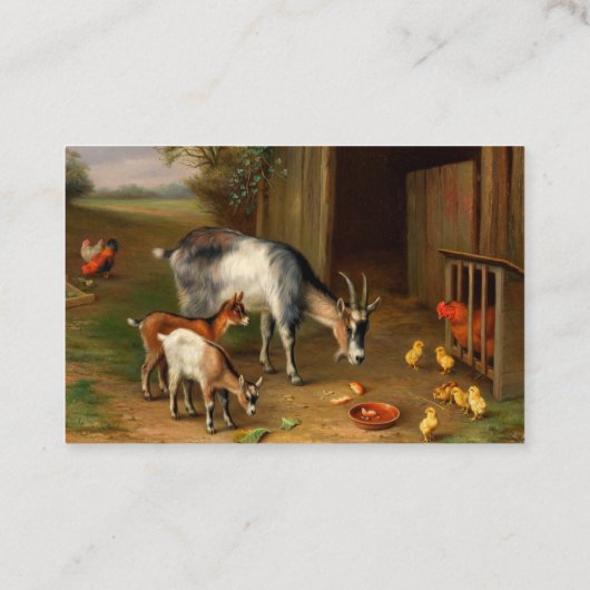 Geiten en kippen bij het Boerderij Visitekaartje (Achterkant)