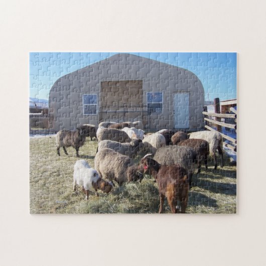 Geiten en schaap legpuzzel (Horizontaal)