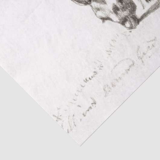 Geiten Ephemera Decoupage  Boerderij Tissuepapier (Detail)