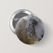 Geiten glimlachen! ronde button 5,7 cm (Voorkant /achterkant)