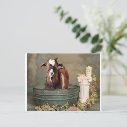 Geiten hebben ook aas nodig briefkaart (Staand voorkant)