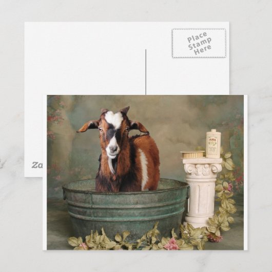 Geiten hebben ook aas nodig briefkaart (Voorkant / Achterkant)