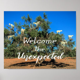 Geiten in Bomen verwelkomen de onverwachte Poster