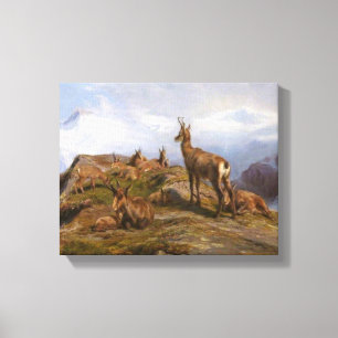 Geiten in de Alpen (Rosa Bonheur) Canvas Afdruk