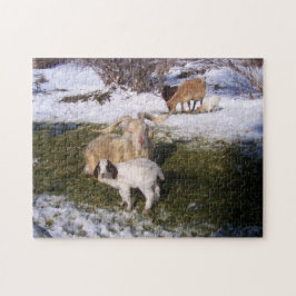 Geiten in de voorjaarssneeuw legpuzzel