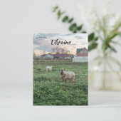 Geiten in Kropyvnyk Oekraïne Briefkaart (Staand voorkant)