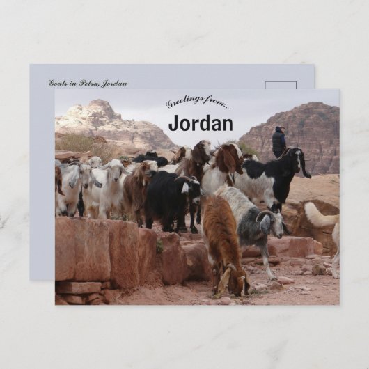 Geiten in Petra Jordanië Briefkaart (Voorkant / Achterkant)