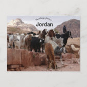 Geiten in Petra Jordanië Briefkaart (Voorkant)