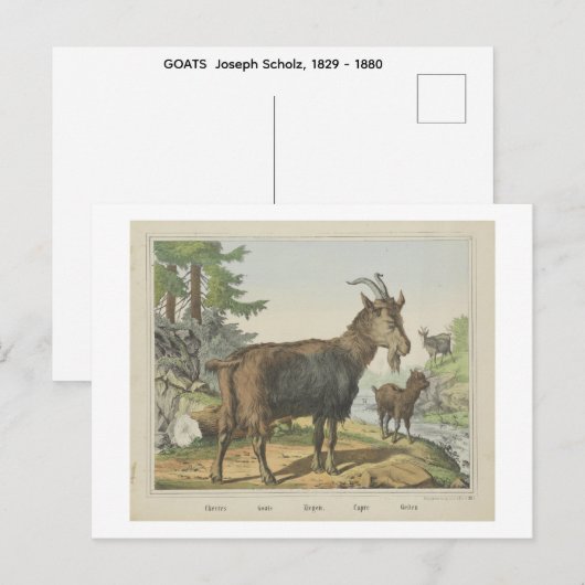 GEITEN Joseph Scholz, 1829 - 1880 Briefkaart (Voorkant / Achterkant)