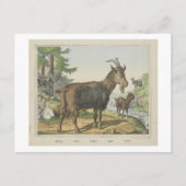 GEITEN Joseph Scholz, 1829 - 1880 Briefkaart (Voorkant)