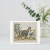GEITEN Joseph Scholz, 1829 - 1880 Briefkaart (Staand voorkant)