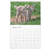 Geiten Kalender (Feb 2027)