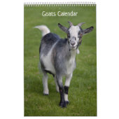 Geiten Kalender (Hoes)