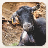 GEITEN KARTONNEN ONDERZETTERS (Voorkant)