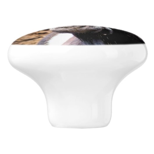 GEITEN KERAMISCHE KNOP (Zijkant)