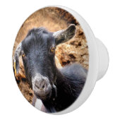 GEITEN KERAMISCHE KNOP (Rechts)