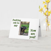 GEITEN KIJKEN UIT OM TE ZEGGEN ** HOE GAAT HET MET KAART (Gele Bloem)