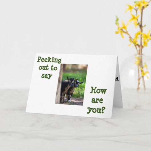 GEITEN KIJKEN UIT OM TE ZEGGEN ** HOE GAAT HET MET KAART (Gele Bloem)