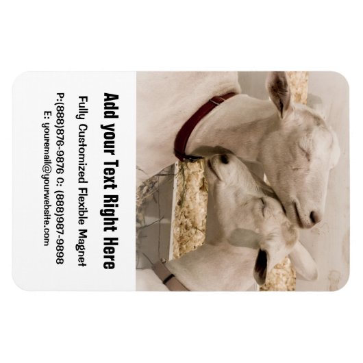 Geiten knuffelen magneet (Horizontaal)