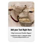 Geiten knuffelen magneet (Verticaal)