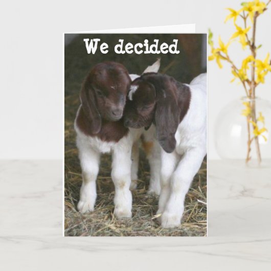 GEITEN KOMEN SAMEN OP JE VERJAARDAG KAART (Gele Bloem)