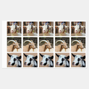 Geiten Labels