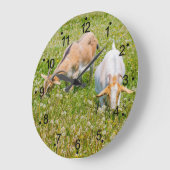 Geiten landbouwhuisdieren Grote kuikens Grote Klok (Hoek)