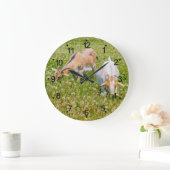 Geiten landbouwhuisdieren Grote kuikens Grote Klok (Huis)