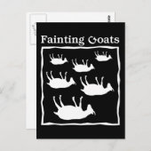 Geiten met flauwvallen briefkaart (Voorkant / Achterkant)