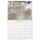 Geiten op de Ranch Kalender (Jan 2026)