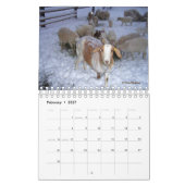 Geiten op de v3-agenda van Ranch Kalender (Feb 2027)
