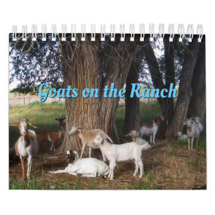 Geiten op de v3-agenda van Ranch Kalender