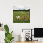 Geiten op een Boerderij Poster (Thuiskantoor)