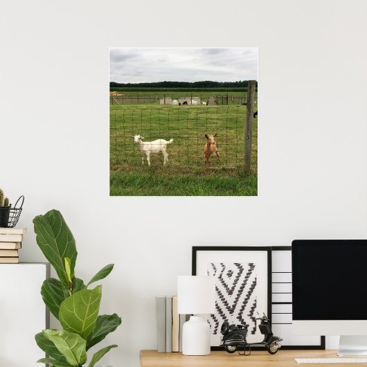 Geiten op een Boerderij Poster (Thuiskantoor)