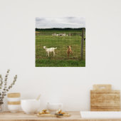 Geiten op een Boerderij Poster (Keuken)