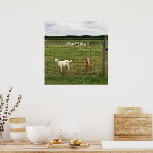 Geiten op een Boerderij Poster (Keuken)