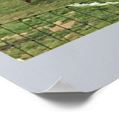 Geiten op een Boerderij Poster (Hoek)