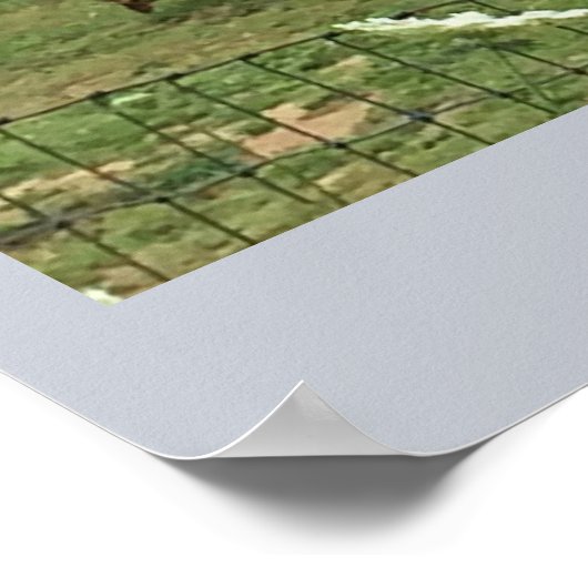 Geiten op een Boerderij Poster (Hoek)