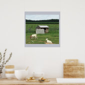Geiten op een Boerderij Poster (Keuken)