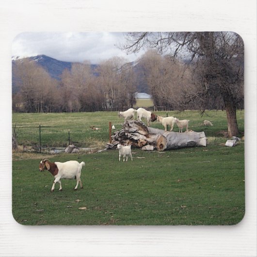 Geiten op een logboek muismat (Voorkant)
