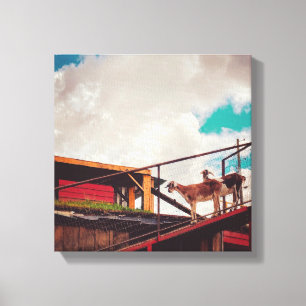 geiten op het dak canvas afdruk